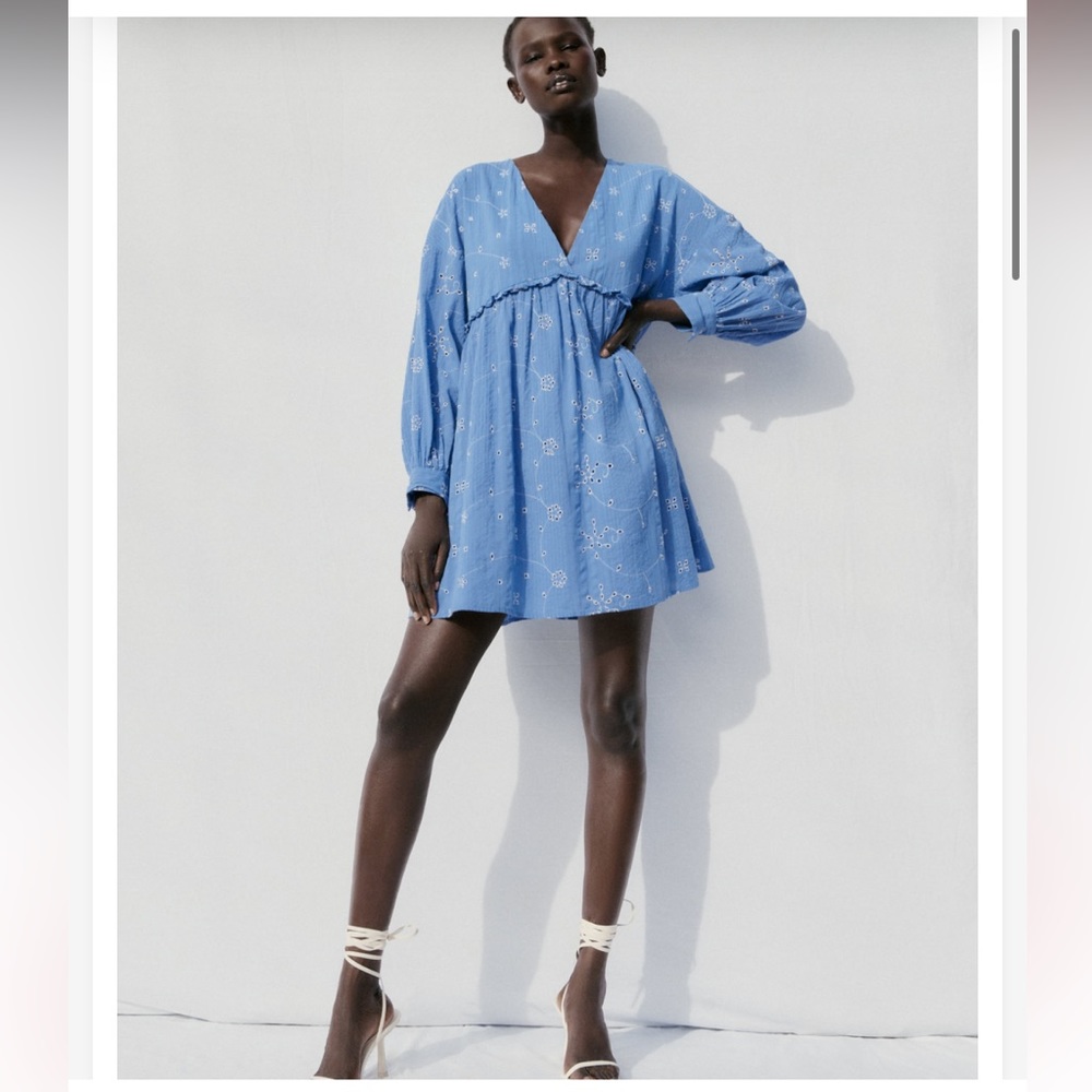 Zara embroidered mini dress